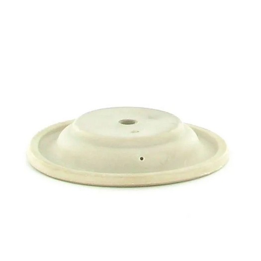 Diaphragm 11000 & 21000